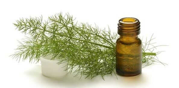 Fennel oil breast enlargement